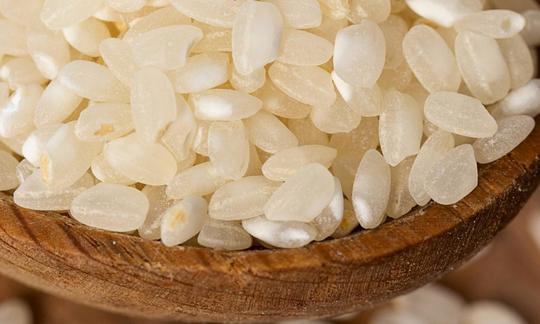 Primo piano di riso a grani corti, bianco, crudo - Oryza sativa L. in cucchiaio di legno. Primo piano di riso a grani corti, bianco, crudo - Oryza sativa L. in cucchiaio di legno.