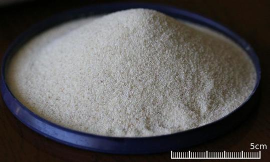 Recipiente con sémola (semolina) de trigo duro (Triticum durum), incluida relación de tamaño. Recipiente con sémola (semolina) de trigo duro (Triticum durum), incluida relación de tamaño.