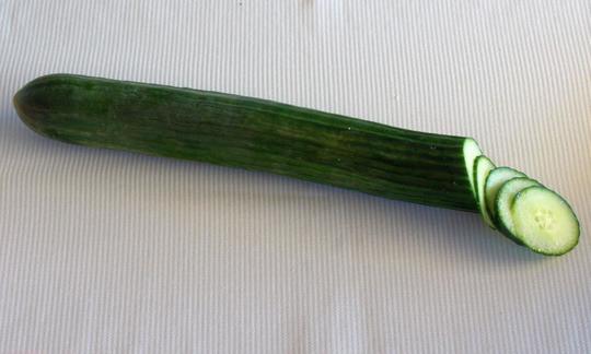 Aufgeschnittene Salatgurke, auch Schlangengurke, auf einem weissen Tischtuch. Aufgeschnittene Salatgurke, auch Schlangengurke, auf einem weissen Tischtuch.