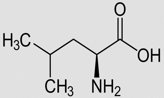 Structure of L-leucine in the diet. D-leucine and the racemate DL-leucine are only synthetic.