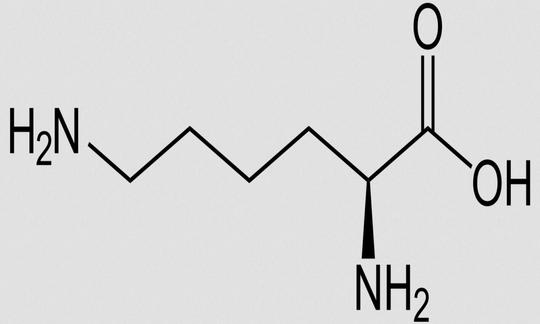 Structure of L-Lysine. The D-shape is mirror-inverted and does not occur in proteins.