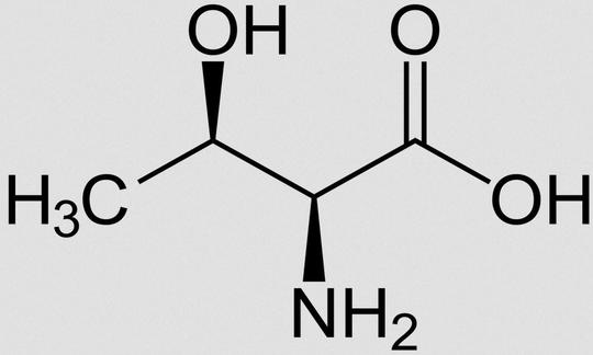 Structure of L-threonine. There are four stereoisomers of threonine.