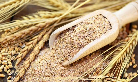 Пшеничные отруби, сырые в деревянной мерной ложке, а также рассыпанные, а вокруг зёрна и колосья пшеницы. Пшеничные отруби, сырые, в деревянной мерной ложке - а вокруг пшеничные зерна и колосья.