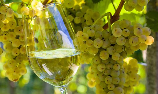 Vino de mesa, blanco: vino blanco sin especificar en un vaso con algunas uvas de fondo.
