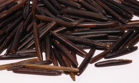 Primer plano de arroz salvaje, con su característico color oscuro. Primer plano de arroz salvaje, con su característico color oscuro.