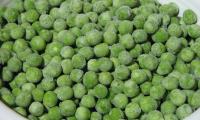 Frozen green peas (Pisum sativum) in a plate.