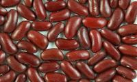 Raw kidney bean (Phaseolus vulgaris) seeds laid out on a light background.