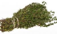 Fresh thyme (Thymus vulgaris) as a bundle on a light background.