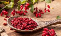 Dried barberries in wooden spoon surrounded by fresh berries with branch.