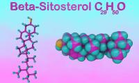Beta-sitosterol is considered a phytosterol with anti-cancer effects.