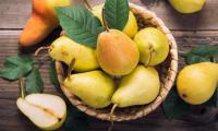 Pears in a braided container, around it another and a half. Pyrus communis L.