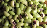 Cowpeas (snake beans), immature seeds, raw - Vigna unguiculata subsp. unguiculata - piled up.
