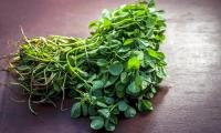 Fenugreek Leaves, raw (Kasoori methi) lying in bunch on brown surface.