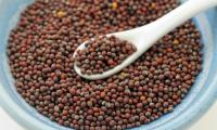 Brown mustard seeds (Brassica juncea) in a plate.