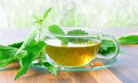 Nettle tea in a glass cup, surrounded by fresh stinging nettle leaves.