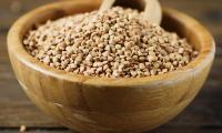 Wooden bowl filled with buckwheat on a dark wooden table (Fagopyrum esculentum Moench)