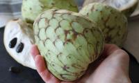 One hand holds a cherimoya (Annona cherimola), behind it also cut with kernels.