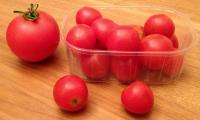 Cherry-Tomaten mit 18 Gramm Durchschnittsgewicht im Vergleich mit einer Tomate zu 110 Gramm.
