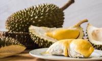 Durian essbereit auf Teller, dahinter ein Stück in der Schale und ganze Frucht.
