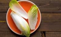 Chicory (endive) - Cichorium intybus - lying on a red plate, also cut open.