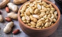 Shelled peanuts without skin in a bowl beside peanuts with shell and peanuts with brownish red skin.