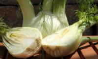 Two fennel tubers, one cut open - Foeniculum vulgare.