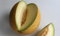 Galia melon, raw (organic?) - Cucumis melo - cut open on a neutral surface.