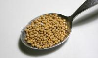 Yellow mustard seeds on a spoon.