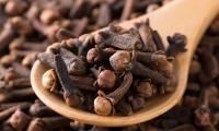 Cloves, whole (Syzygium aromaticum) as you can buy in the trade. Here on wooden spoon.