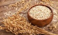 Rolled oats in a wooden bowl next to a bundle of oats (Avena sativa L.) and scattered rolled oats.