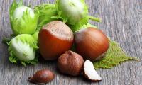 Immature, ripe, peeled and cut hazelnuts (Corylus spp.).