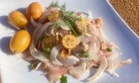 Rezeptbild vom angerichteten "Fenchel-Kumquat-Salat ohne Öl" auf weissem Teller.
