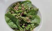 Recipe picture of the prepared "lukewarm quinoa salad with spinach and peas".