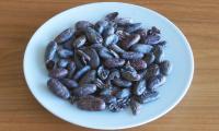 Teller mit „rohen“, fermentierten Kakaobohnen: Die Fermentation verleiht ihnen ihr typisches Aroma.