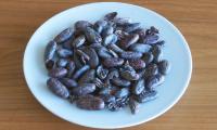 Plate with raw, fermented cocao beans. These fermented beans contain hardly any caffeine.