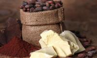 Cocoa butter pieces in front of a sack with cocoa beans, cocoa powder and chocolate on the left.
