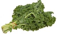 Tied bundle of kale (Brassica oleracea) on a white background.