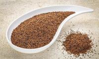 Kañiwa seeds (Chenopodium pallidicaule, Cañihua): in white ceramic bowl and heaped up next to it.