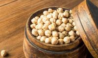 Garbanzos - Cicer arietinum - en tarro de madera con tapa de madera abierta.