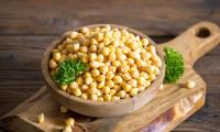 Mellow chickpeas in wooden bowl on kitchen board - Cicer arietinum.