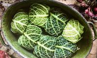 Recipe picture "Baked cabbage rolls in caramel sauce" from "Accidentally Vegan" by Marta Dymek, page 54
