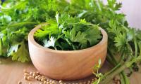 Cilantro (fresh coriander): Leaves in a small wooden bowl with some coriander seeds in front of it.