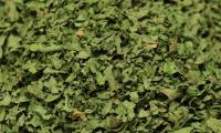 Coriander leaves, dried - Coriandrum sativum - layered.