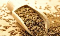 Real cumin (seed cumin), seeds on wooden scoop and around it - Carum carvi.
