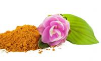 Links Kurkuma, gemahlen - Curcuma longa L. - rechts Kurkuma-Blüte und Blatt.
