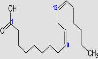 Chemical structure of linoleic acid, an omega-6 fatty acid with 18 carbon atoms und two double bonds (18:2)