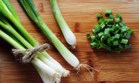 Spring onions / Leek / Winter onions - Allium fistulosum. Bunch and cut stems.