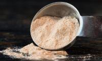 Lucuma powder spilling out of a tablespoon. Lucuma is made from the fruit of the Pouteria lucuma tree (in the Sapotaceae family), which is native to the Andes.