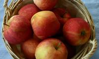 Яблоки сырые сорта Гала с кожурой - Malus domestica - в плетеной корзине.