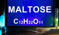 Chemical formula of maltose or malt sugar, which is white in pure form.